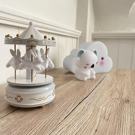 Super Zonnige En Ruime Penthouse 50m Zeedijk * De Panne